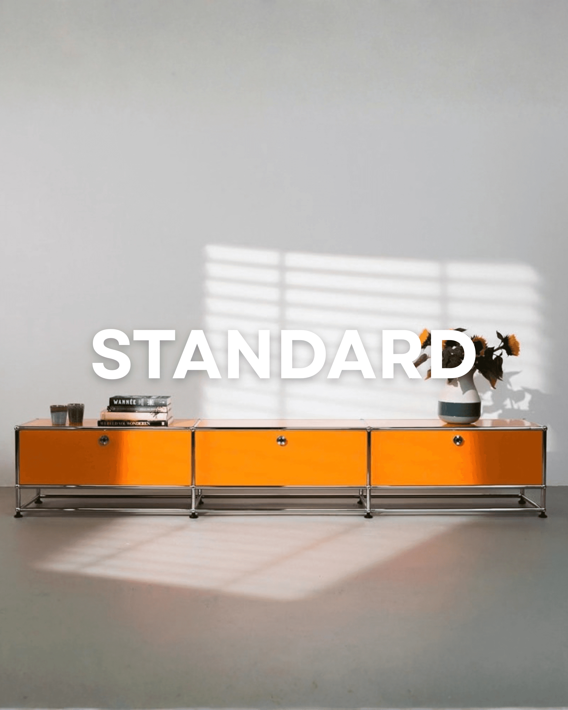 MODUHAUS STANDARD